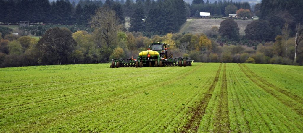 Fall planting